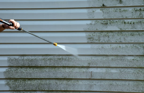 Best Roof Washing  in Aledo, TX